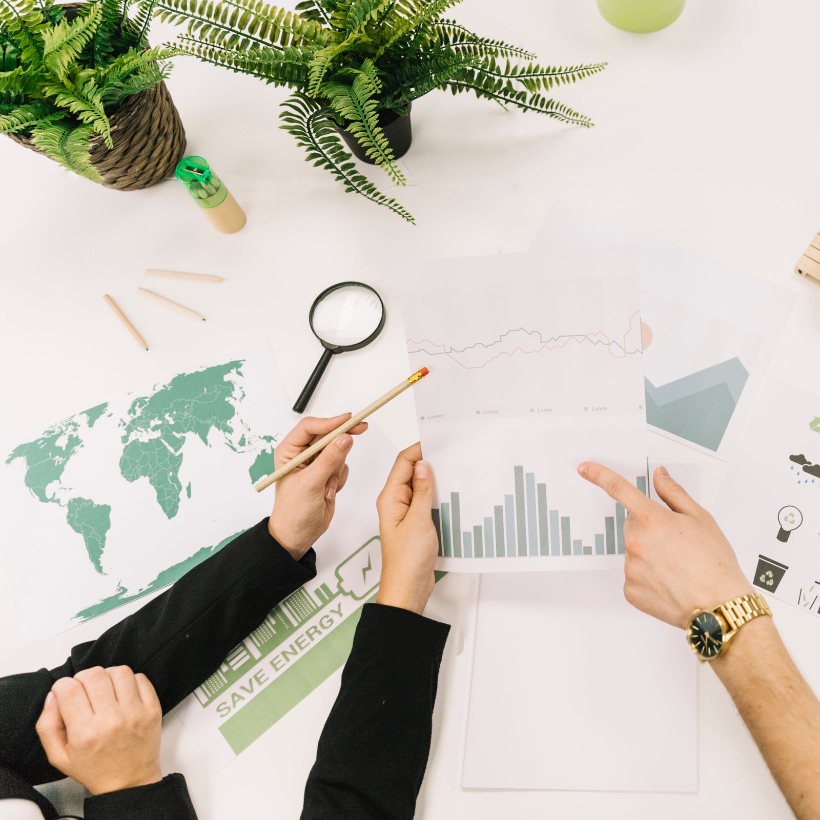  Market Insights